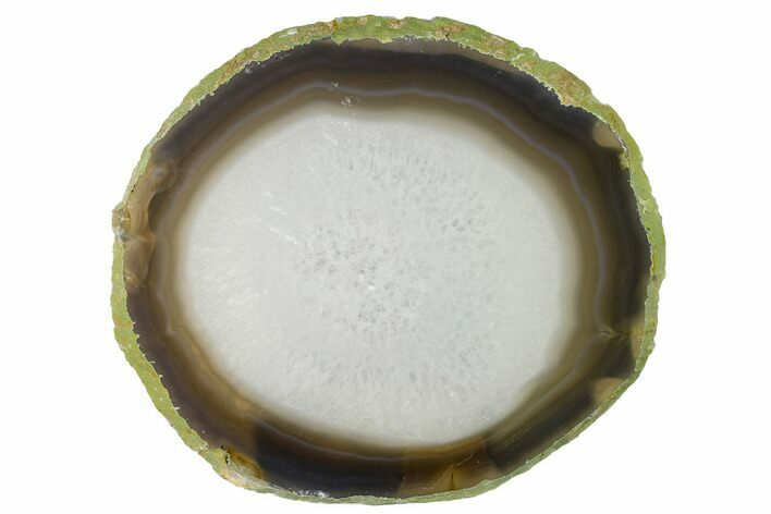 Polished Brazilian Agate Slice #156005